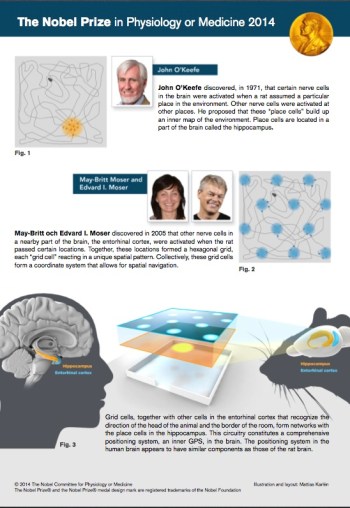 (Infografía Cortesía nobelprize.org)