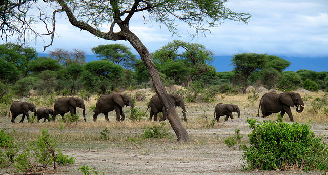 26825241163_6a7c49b339_z